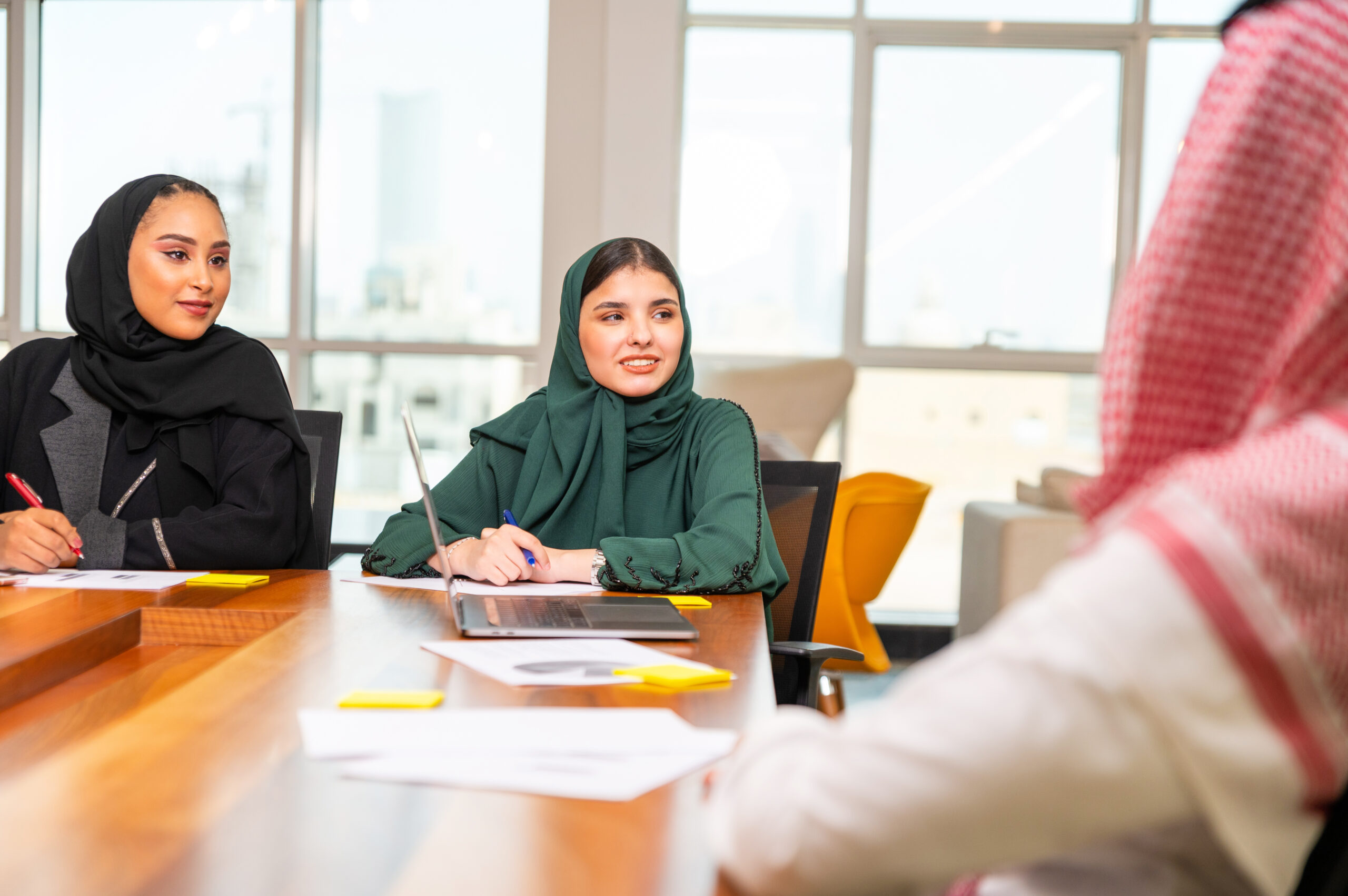 القطاع غير الربحي